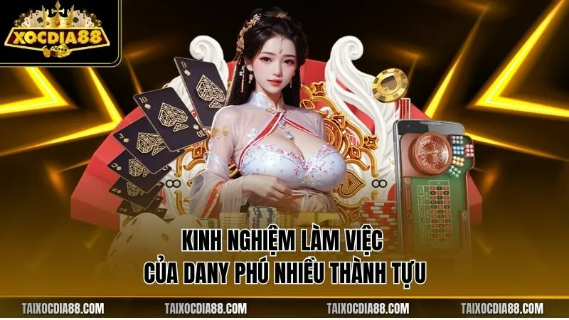 Kinh nghiệm làm việc của Dany Phú nhiều thành tựu