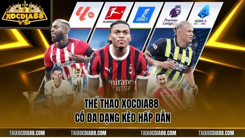 Thể thao Xocdia88 có đa dạng kèo hấp dẫn